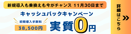 初期導入手数料　キャッシュバックキャンペーン　実質0円